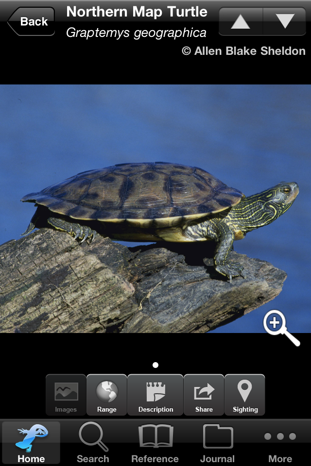 iPhone Screenshot 1